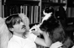 littérature; roman; livres